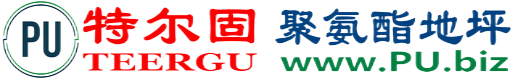 特尔固®定西聚氨酯地坪